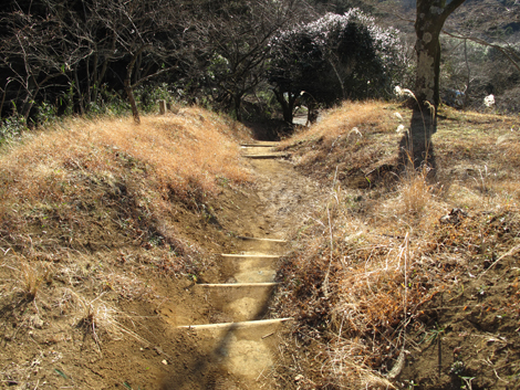 20170126hike (509)